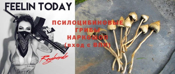 эйфоретик Костерёво
