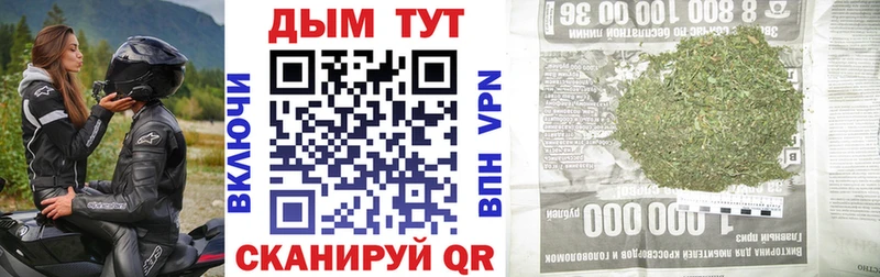 Шишки марихуана марихуана Вологда